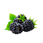 Organic Dried Blackberry - 200g Pack